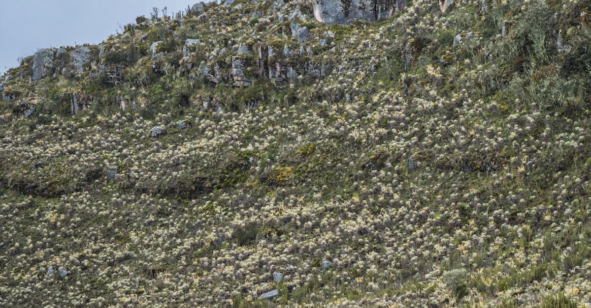 Benefits of Composting for Brisbane Households