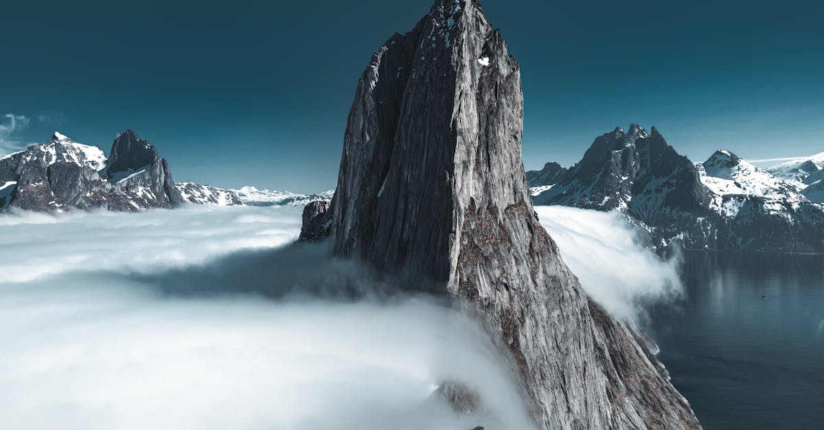 Choosing the Right Composting Method for Your Needs