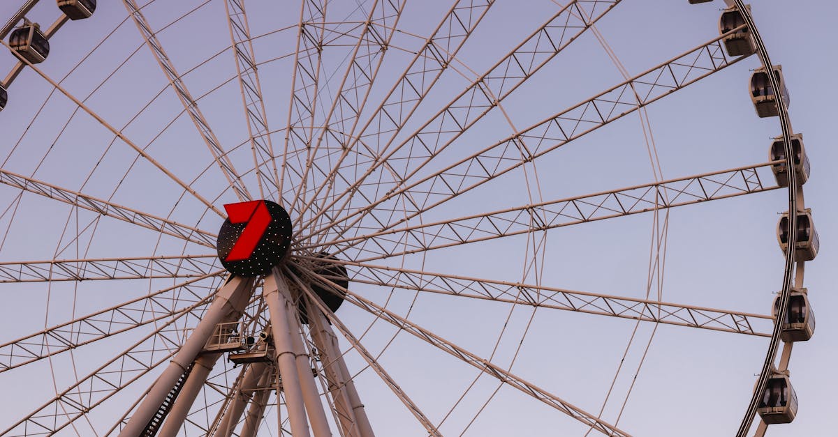 Decluttering Strategies for Brisbane Apartments: When to Call for Removal