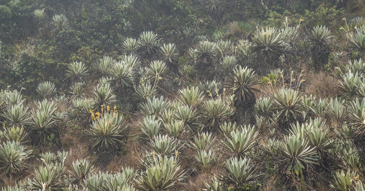 Eco-Friendly Strategies for Industrial Waste Management