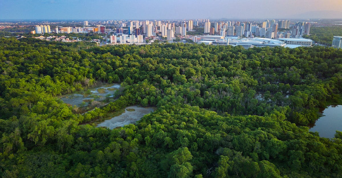 Essential Tips for Handling Renovation Waste Responsibly