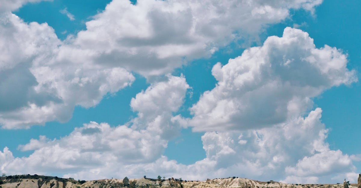 How Community Composting Works in Brisbane