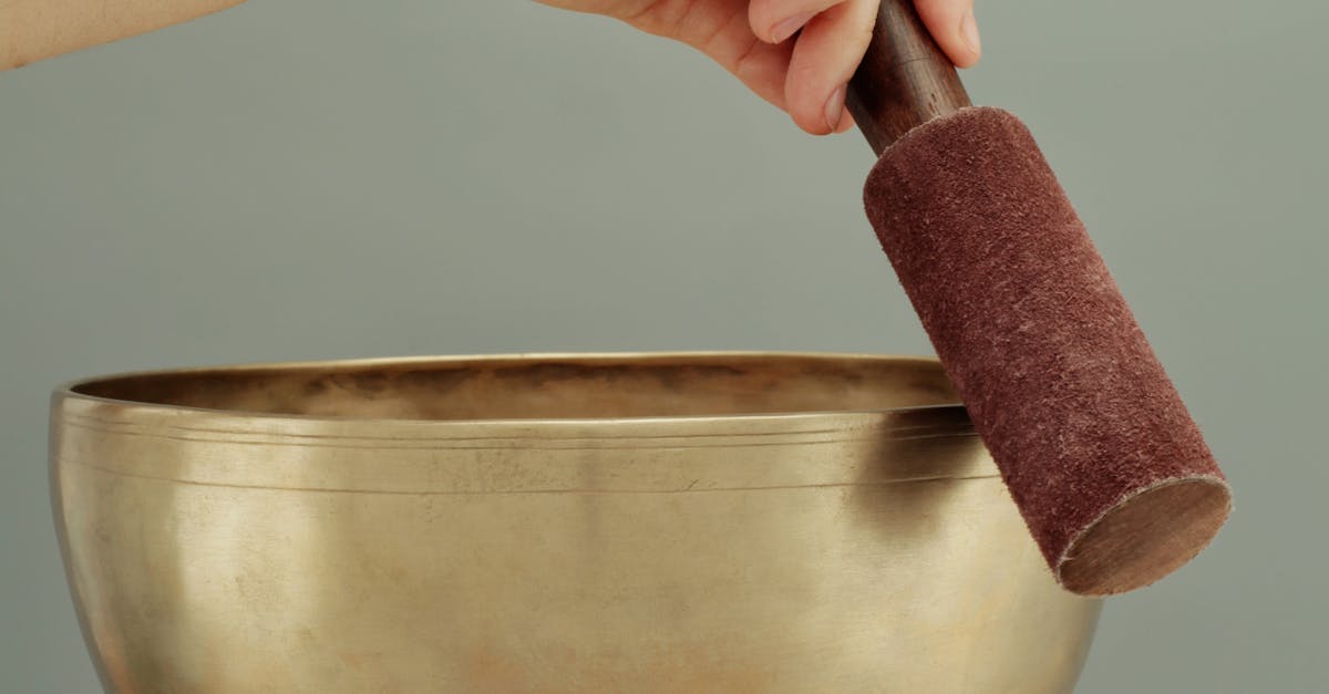 Innovations in Green Waste Collection Services