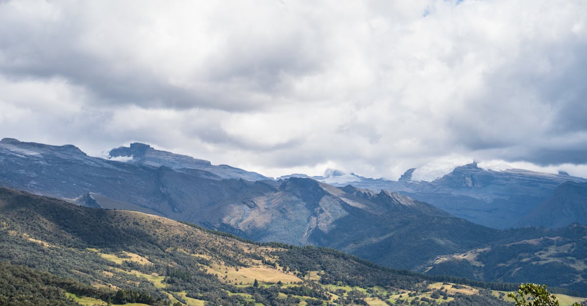 Key Considerations for Industrial Waste Collection Services