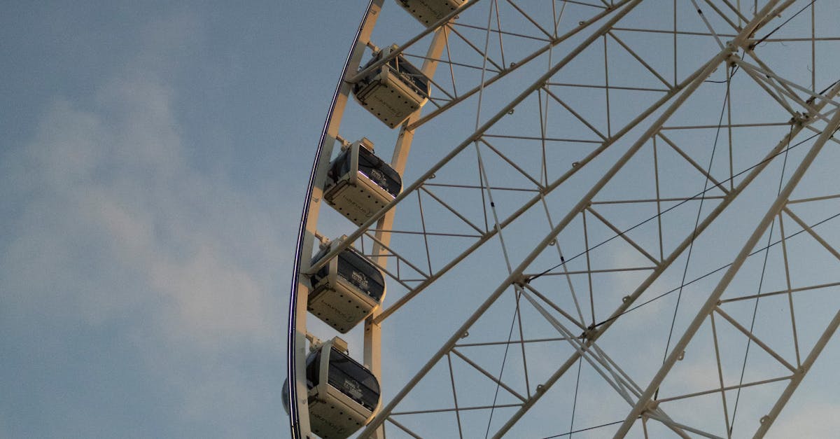 Local Brisbane Initiatives Supporting Green Waste Recycling