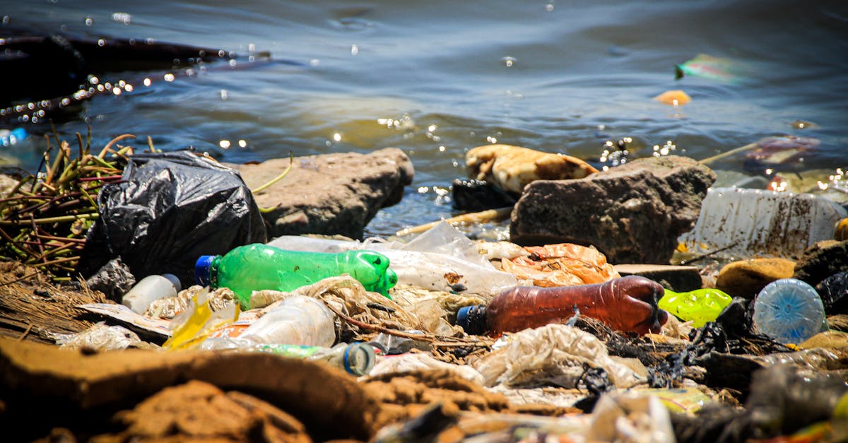 The Benefits of Regular Rubbish Collection for Households