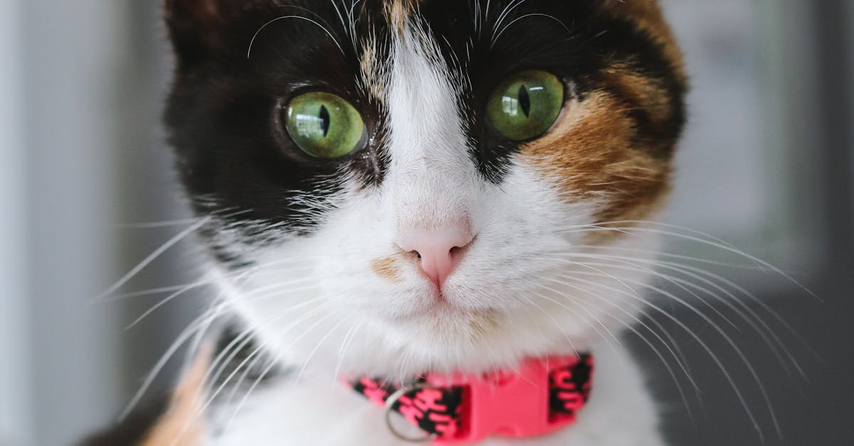 The Importance of Data Protection During Office Clearance