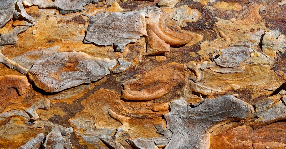 The Importance of Properly Managing Hazardous Waste