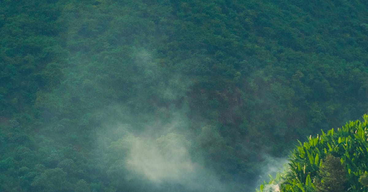 Understanding Industrial Waste Regulations in Brisbane